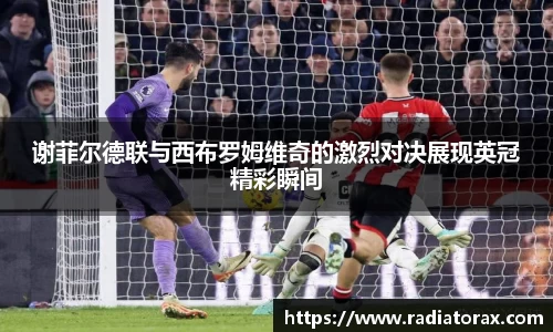 谢菲尔德联与西布罗姆维奇的激烈对决展现英冠精彩瞬间