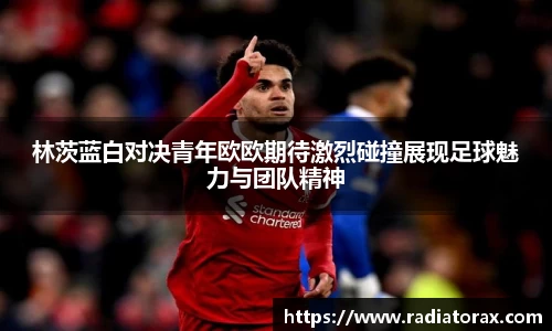 林茨蓝白对决青年欧欧期待激烈碰撞展现足球魅力与团队精神